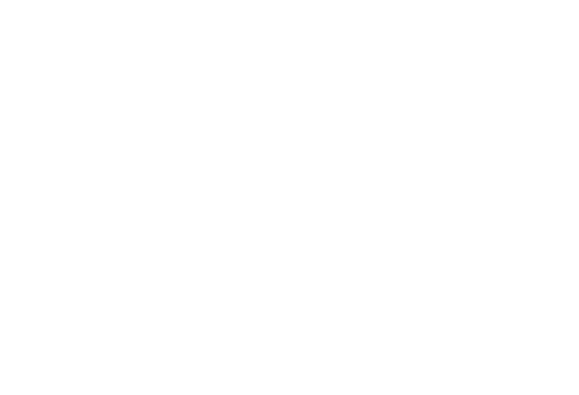Nam Mekong Grand Plaza